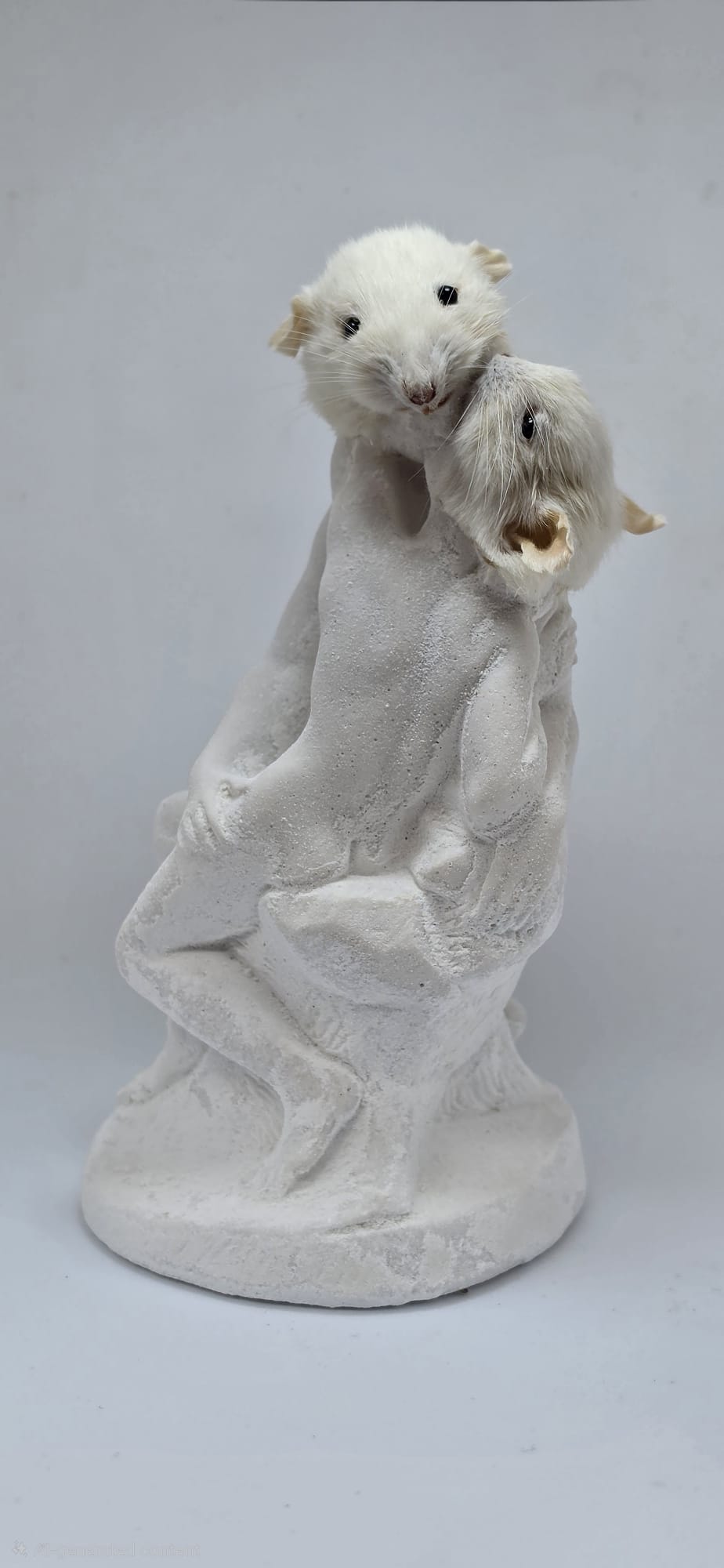 ' Rodent & Juliet ' taxidermy statue