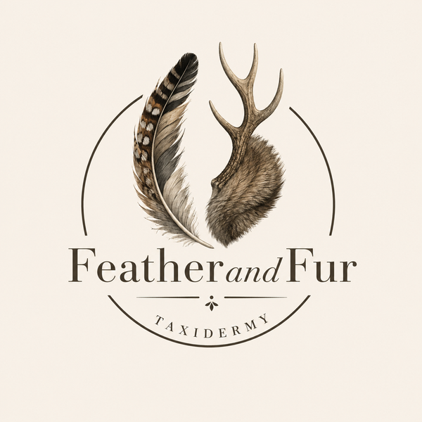 FeathandFur