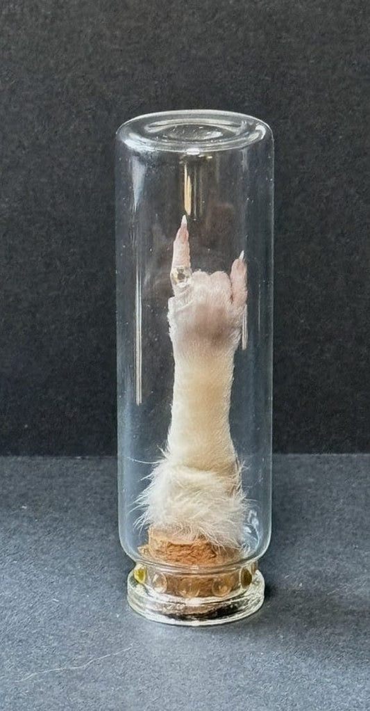 Rock & Roll finger